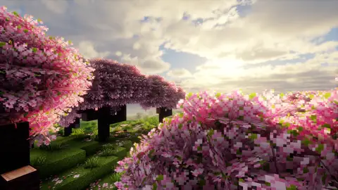 Season 2 Scenery